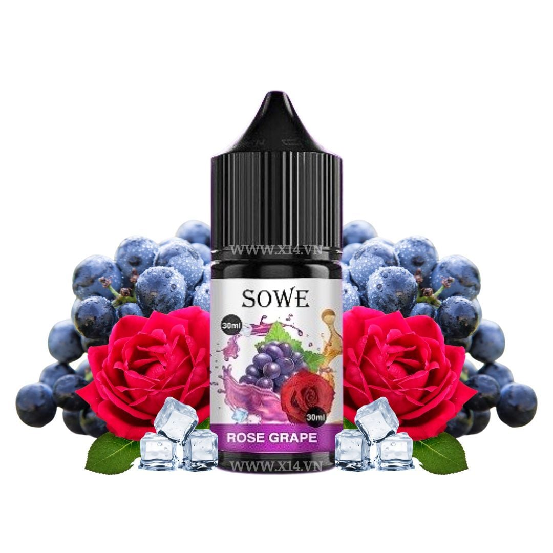 OXVA OX Passion Salt Taro Ice 30ml - Chính Hãng