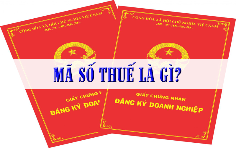 Mã số thuế - Khái niệm dễ hiểu cho người dùng phổ thông