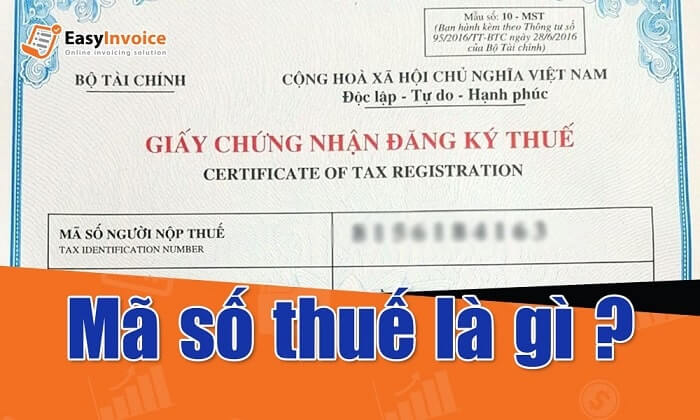 Mã số thuế - Vì sao nên kiểm tra định kỳ?